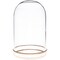 Plymor 3" x 5" Glass Display Dome Cloche with Gold Rim (Gold Rim Glass Tray Base)